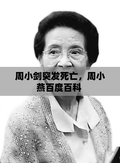 周小剑突发死亡,周小燕百度百科