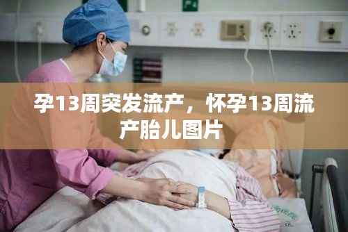 孕13周突发流产，怀孕13周流产胎儿图片 