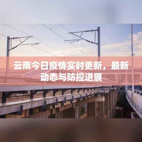云南今日疫情实时更新,最新动态与防控进展