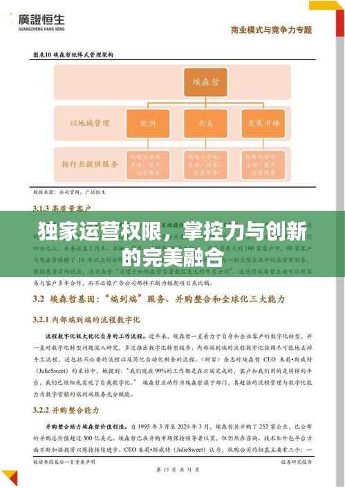 独家运营权限,掌控力与创新的完美融合