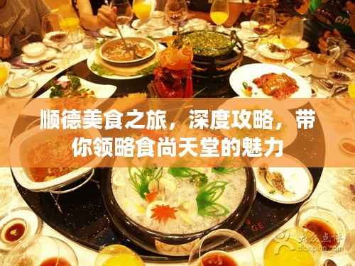 顺德美食之旅，深度攻略，带你领略食尚天堂的魅力