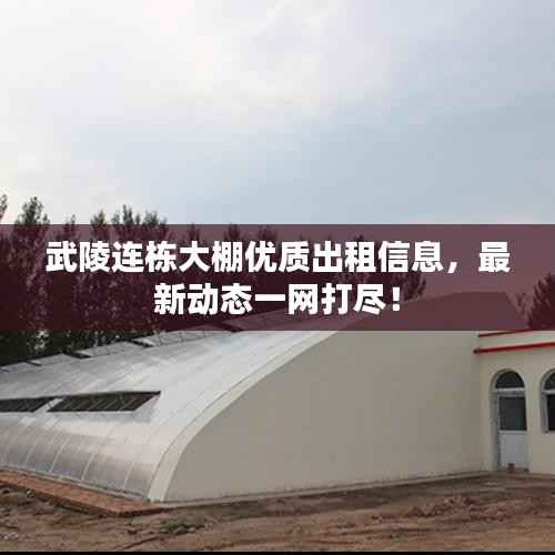 武陵连栋大棚优质出租信息,最新动态一网打尽!