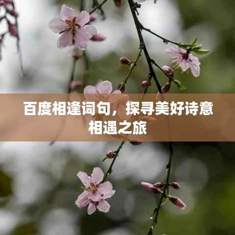 百度相逢词句,探寻美好诗意相遇之旅