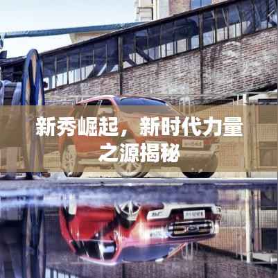 新秀崛起,新时代力量之源揭秘