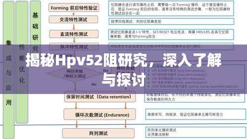 揭秘Hpv52阻研究，深入了解与探讨