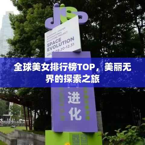 全球美女排行榜TOP,美丽无界的探索之旅