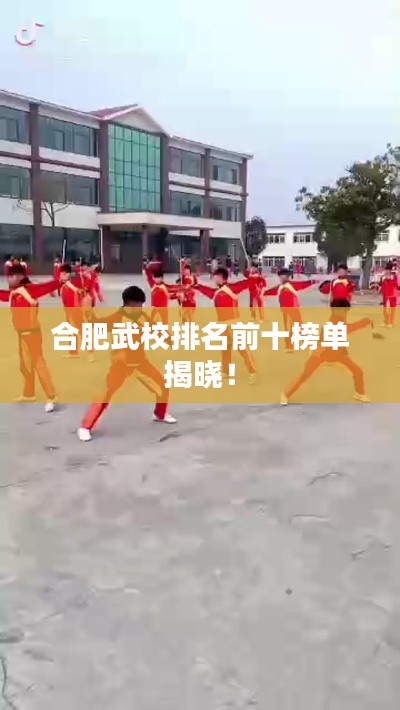 合肥武校排名前十榜单揭晓！