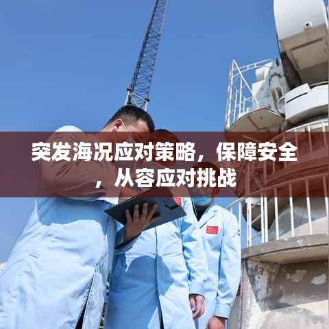 突发海况应对策略，保障安全，从容应对挑战