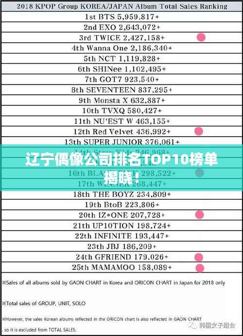 辽宁偶像公司排名TOP10榜单揭晓！