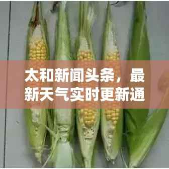 太和新闻头条，最新天气实时更新通知