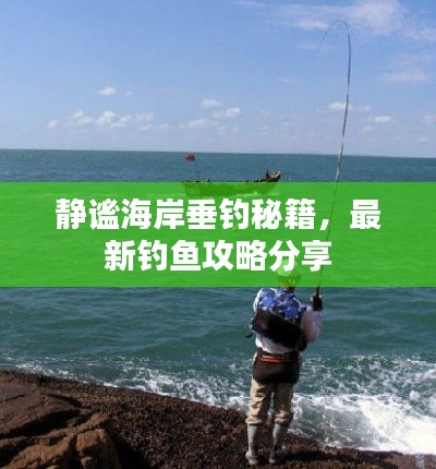 静谧海岸垂钓秘籍,最新钓鱼攻略分享