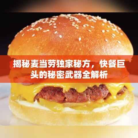 揭秘麦当劳独家秘方,快餐巨头的秘密武器全解析