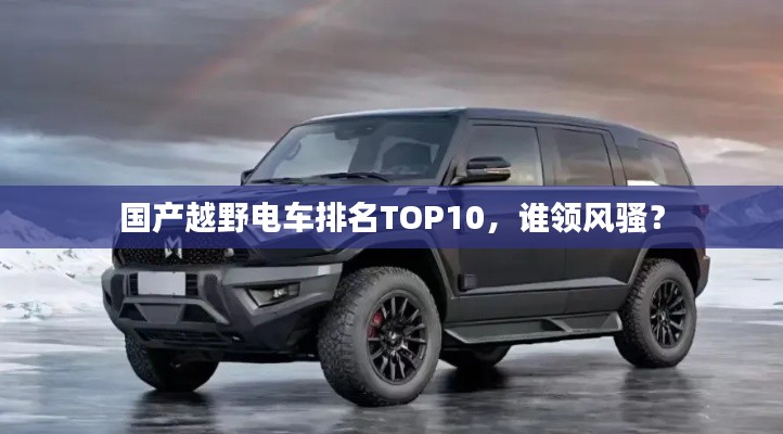 国产越野电车排名TOP10，谁领风骚？