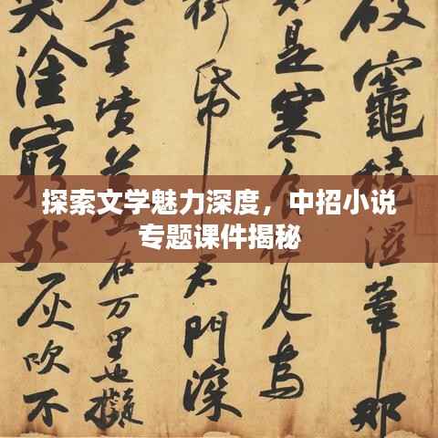 探索文学魅力深度,中招小说专题课件揭秘