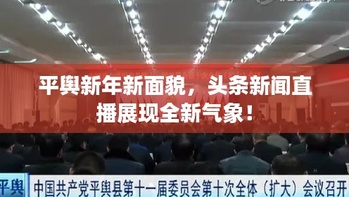 平舆新年新面貌，头条新闻直播展现全新气象！