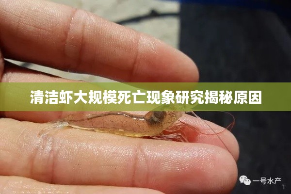 降尊纡贵