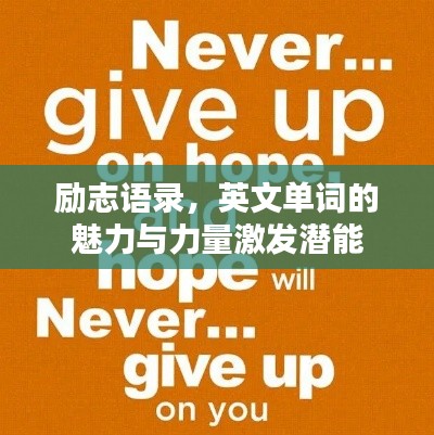 励志语录,英文单词的魅力与力量激发潜能
