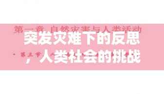 突发灾难下的反思,人类社会的挑战与启示