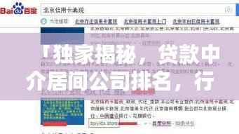 「独家揭秘,贷款中介居间公司排名,行业领军者一览无遗」