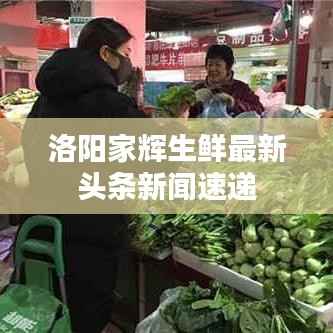 洛阳家辉生鲜最新头条新闻速递
