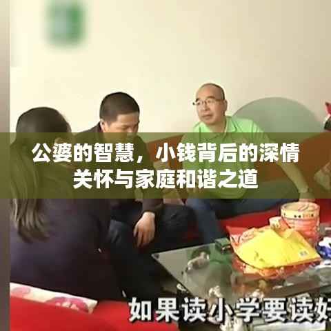 公婆的智慧,小钱背后的深情关怀与家庭和谐之道