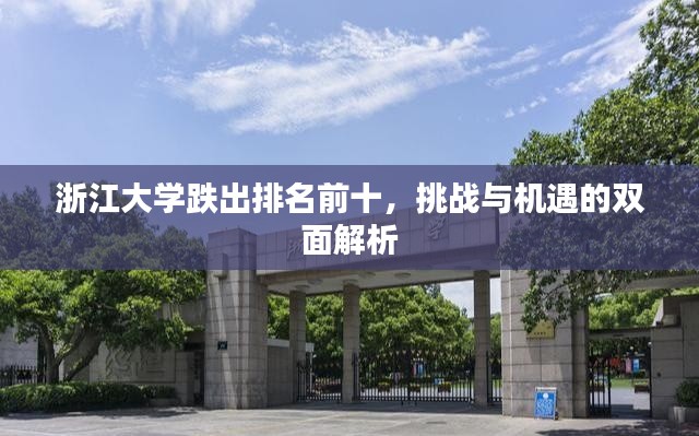 浙江大学跌出排名前十,挑战与机遇的双面解析