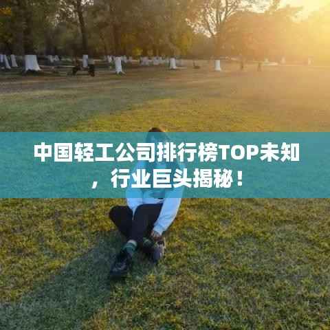 中国轻工公司排行榜TOP未知,行业巨头揭秘!