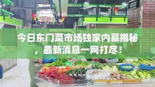 今日东门菜市场独家内幕揭秘,最新消息一网打尽!