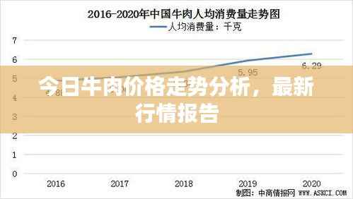 今日牛肉价格走势分析,最新行情报告