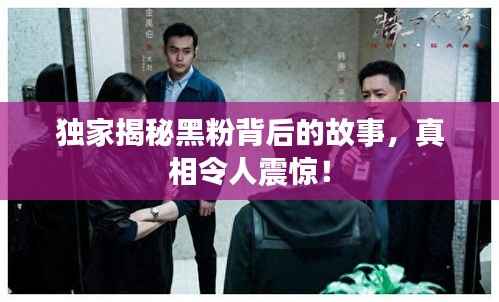 独家揭秘黑粉背后的故事,真相令人震惊!