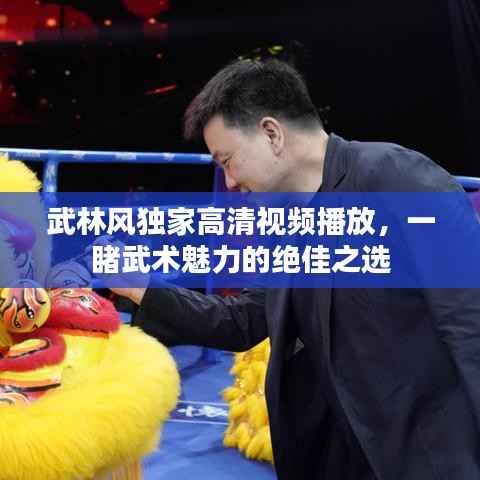 武林风独家高清视频播放,一睹武术魅力的绝佳之选