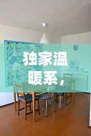 独家温暖系,探寻生活中的温馨独特时光