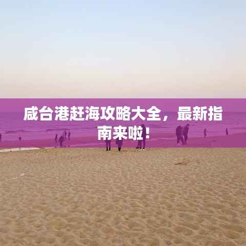 咸台港赶海攻略大全,最新指南来啦!