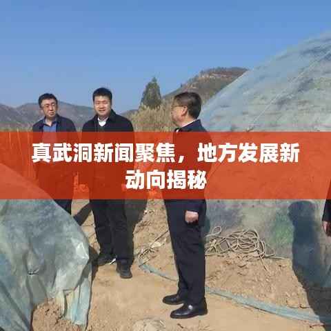真武洞新闻聚焦,地方发展新动向揭秘