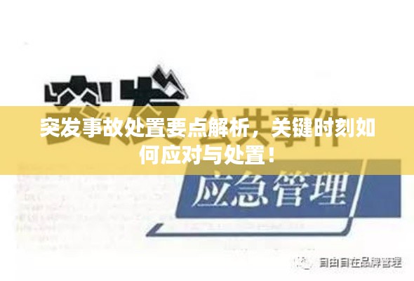 突发事故处置要点解析,关键时刻如何应对与处置!