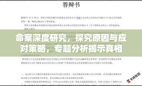 命案深度研究,探究原因与应对策略,专题分析揭示真相