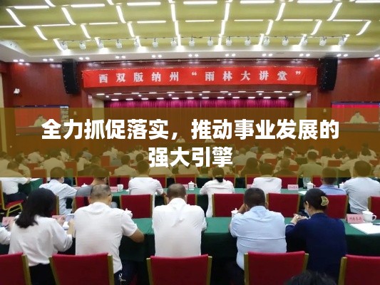 全力抓促落实，推动事业发展的强大引擎