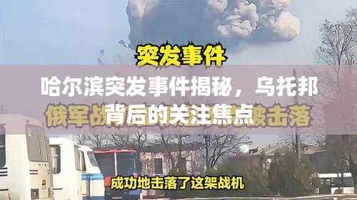 哈尔滨突发事件揭秘,乌托邦背后的关注焦点