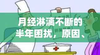 月经淋漓不断的半年困扰,原因、影响与应对策略