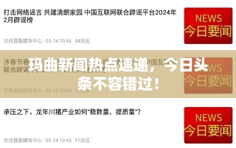 玛曲新闻热点速递,今日头条不容错过!