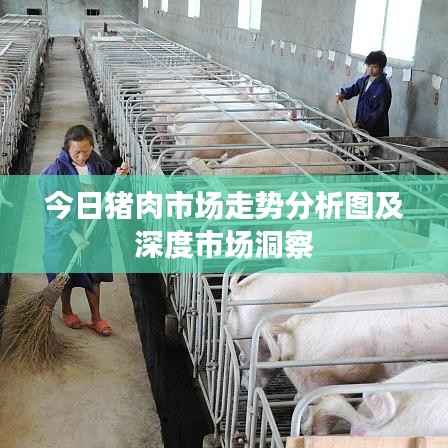 今日猪肉市场走势分析图及深度市场洞察