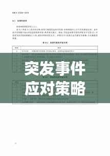 突发事件应对策略，高效查看与管理突发事件的方法