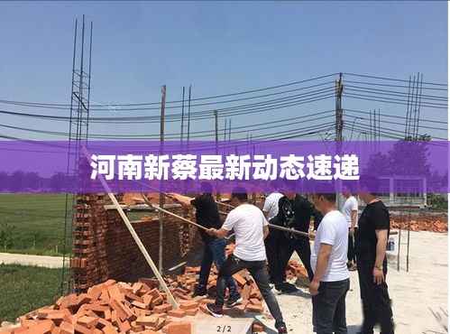 河南新蔡最新动态速递