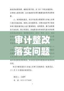 审计整改落实问题的深度探究与策略应对