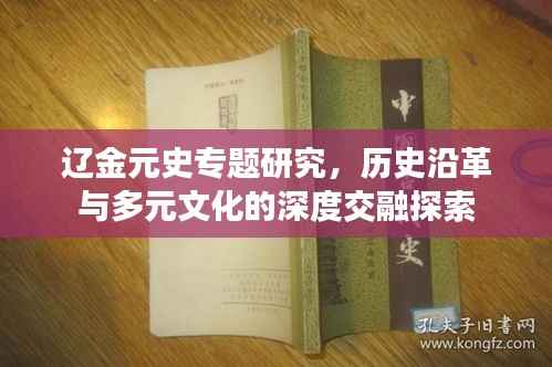 辽金元史专题研究,历史沿革与多元文化的深度交融探索
