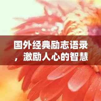 侃侃而谈